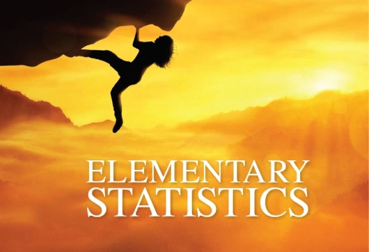Elementary Statistics